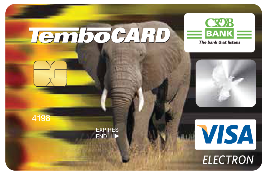 TemboCard Visa